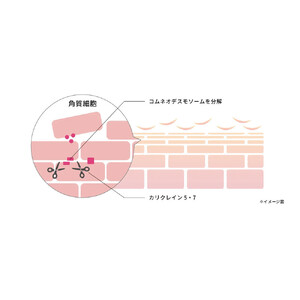 オルモニカ ピュリファイング ブースターセラム 30ｍL