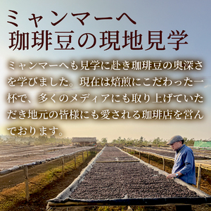 No.3286【2回定期便】珈琲 手摘み完熟豆 ブラジル・セラード産 【豆】中煎り 200g×5袋