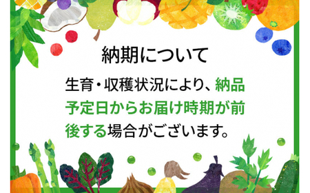 【3ヶ月定期便】【令和7年産】〈白米〉 雪若丸 5kg×3回 山形県産 (5kg袋小分け) 精米  【2025年11月上旬発送開始予定】