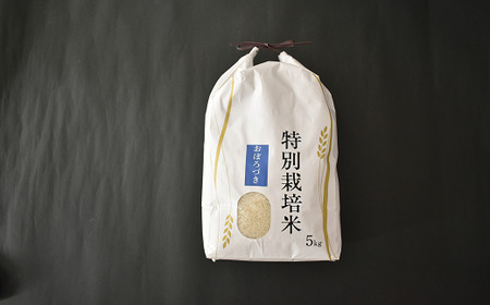 北海道浦河町の特別栽培米「おぼろづき」精米(5kg×1袋)定期便(全3回)[37-1491]
