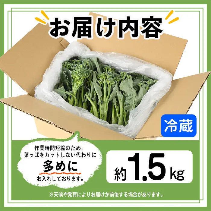 ＜先行予約受付中！2026年11月上旬以降順次発送予定＞ スティックセニョール (1.5kg) 国産 鹿児島県産 阿久根市産 ブロッコリー 野菜 サラダ お弁当 ピクニック 産地直送 茎ブロッコリー 肉巻き 数量限定 期間限定 【うとさんち】akn067-25