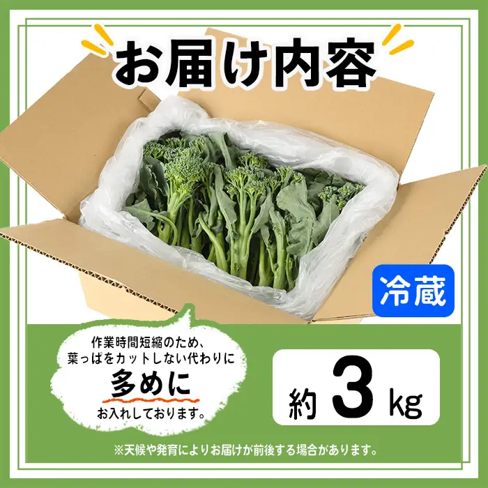 ＜先行予約受付中！2026年11月上旬以降順次発送予定＞ スティックセニョール (3kg) 国産 鹿児島県産 阿久根市産 ブロッコリー 野菜 サラダ お弁当 ピクニック 産地直送 茎ブロッコリー 肉巻き 数量限定 期間限定 【うとさんち】akn067-26