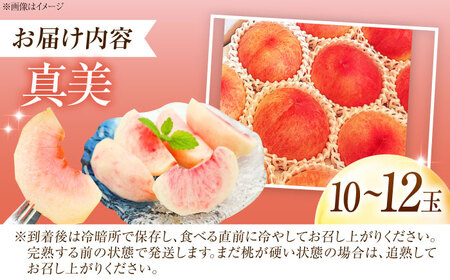 【先行予約】真美桃 10-12玉入り BKAD086 桃