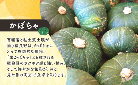 [TVで紹介されました！]上富良野産 野菜セット（ じゃがいも 玉ねぎ かぼちゃ ）約10kg [ 一色商店 いも 玉葱 南瓜 野菜 北海道 上富良野町 ]