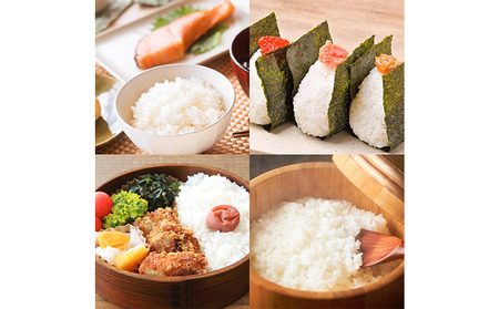 令和7年産 特別栽培米 白米 コシヒカリ 10kg(5kg×2) 