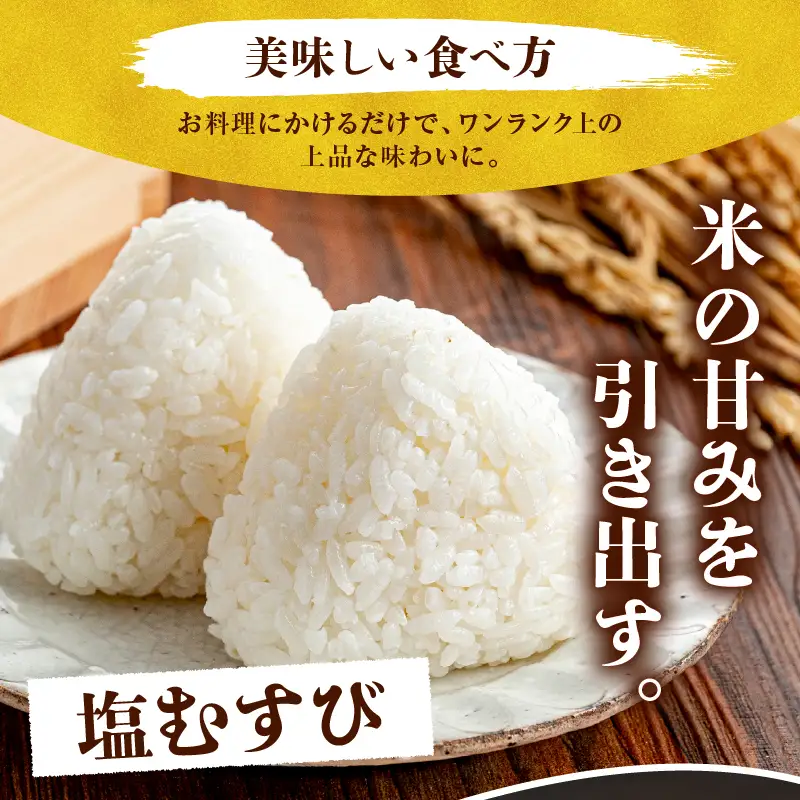 輪島の天然塩！まんでうまい塩×3P　wa058　天然　塩　海塩