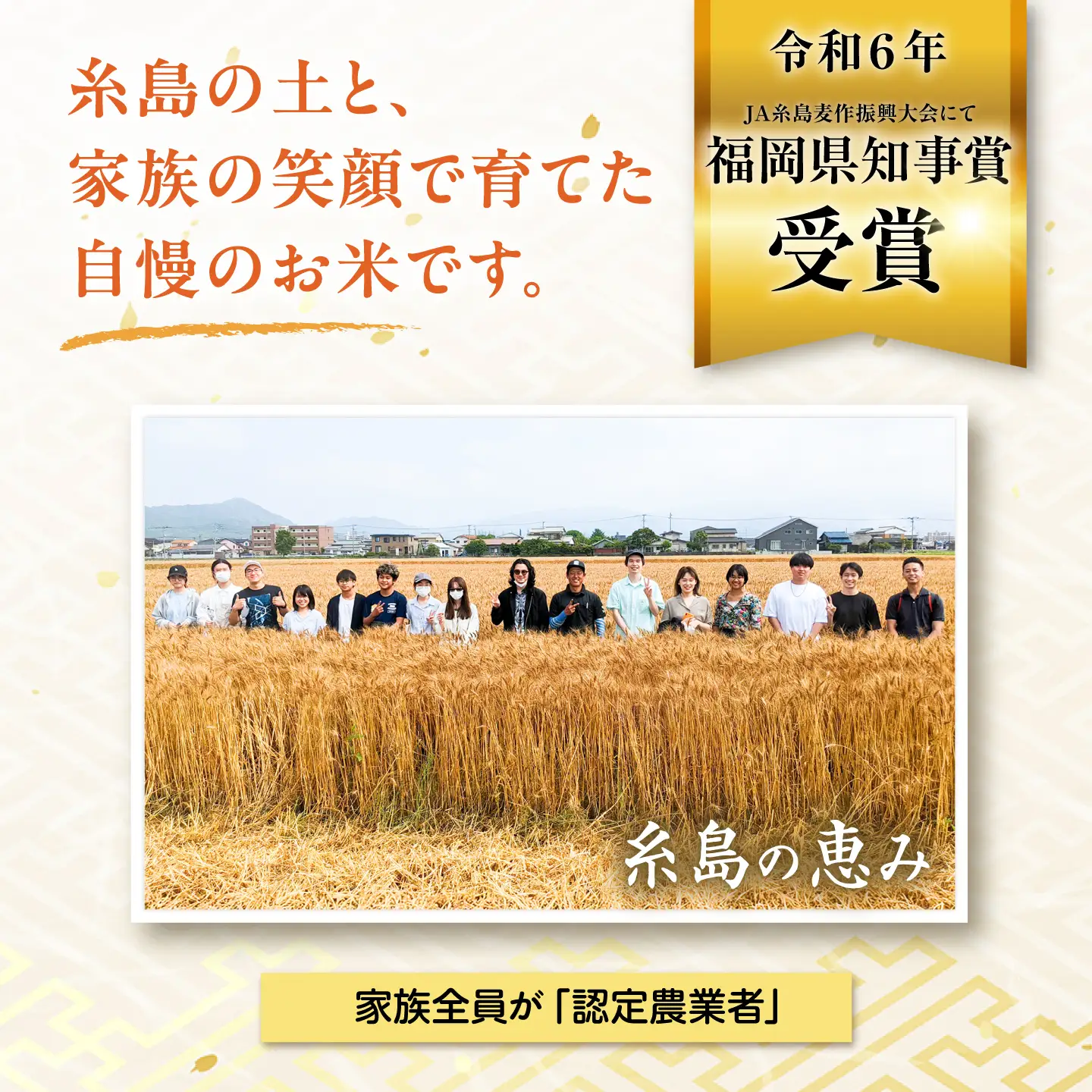 【令和7年産】【スピード発送】にこまる  白米 10kg(10キロ) 糸島市産 糸島市 / 糸島の恵み [AGR002] お米 