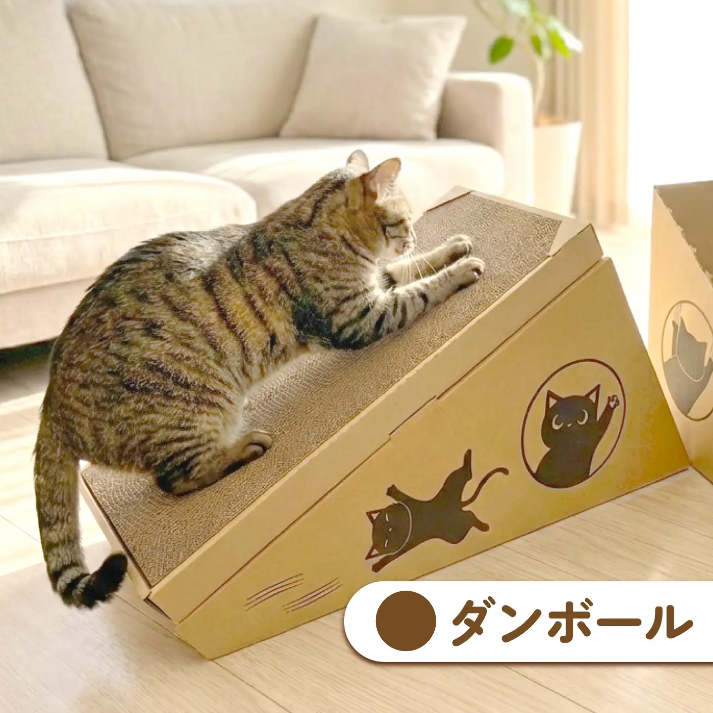 トランス爪とぎ・ダンボール / 爪とぎ 猫用爪とぎ 猫 インテリア ペット ねこ ネコ 愛猫 ペット ペット用品 段ボール ダンボール / 恵那市 / 東濃コアー[AUEZ003]