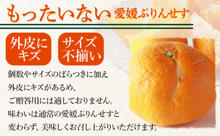 ＜愛媛県西予市産 愛媛ぷりんせす もったいない 合計約3kg＞果物 フルーツ 柑橘類 みかん 蜜柑 ミカン オレンジ プリンセス 訳あり わけあり 甘い 交配種 特産品 宇都宮物産 愛媛県 西予市【常温】『2026年3月～4月上旬迄に順次出荷予定』UUB0096