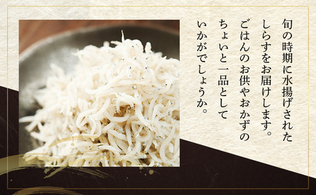干物セット まいわし かたくちいわし しらす干し 食べ比べ 干物セット