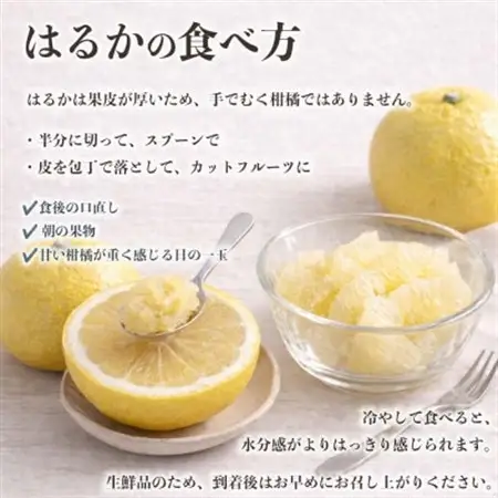 はるか みかん 訳あり 約8kg(益城町)【1723666】