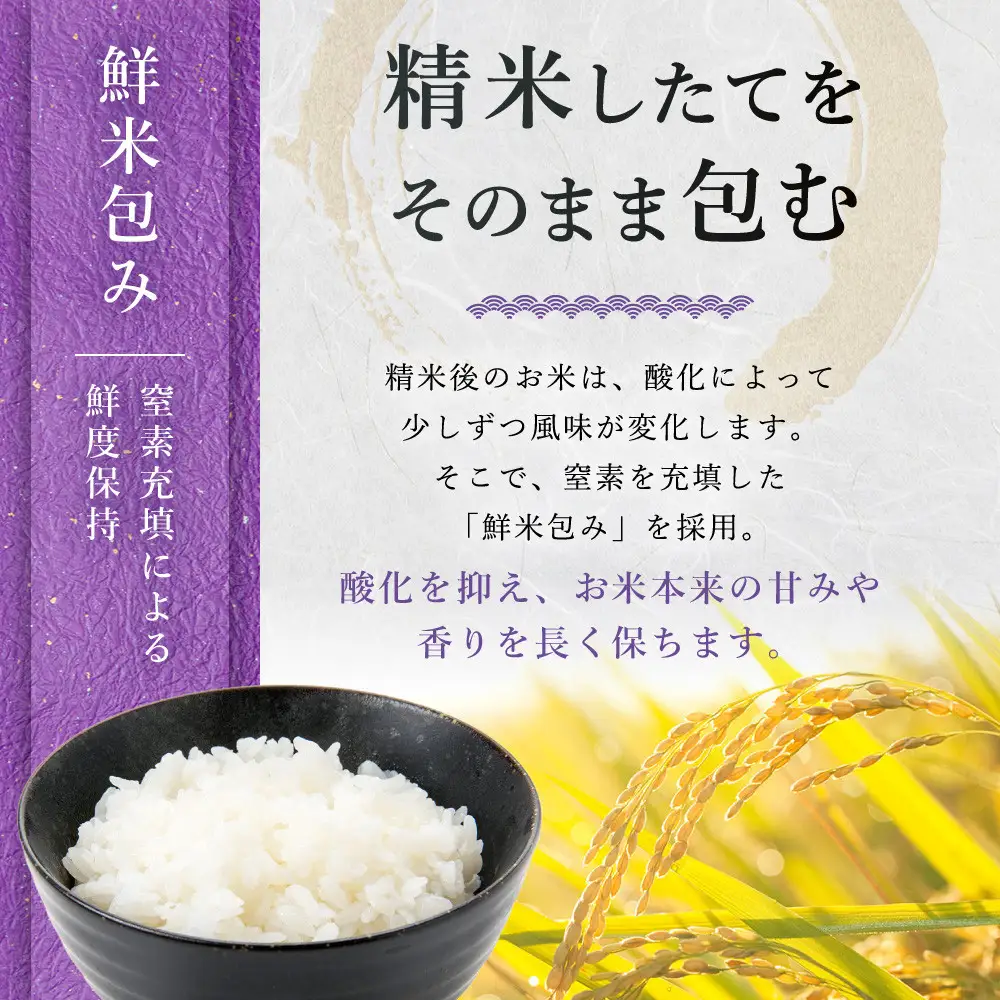 【令和8年 新米】【定期便全6回】 南魚沼産こしひかり2kg  契約栽培  雪蔵貯蔵米 | コシヒカリ
