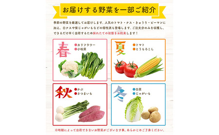 令和7年産 コシヒカリ 5kg ＆ 旬の野菜 10品