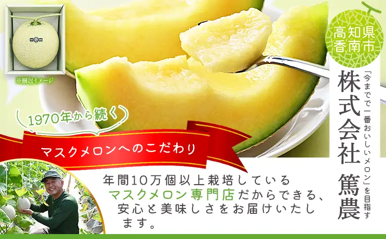 【２回定期便】マスクメロン（贈答用） 1玉入 青肉品種 高級メロン！ ／ マスクメロン 果物 フルーツ ギフト 農家直送 Wtn-0058