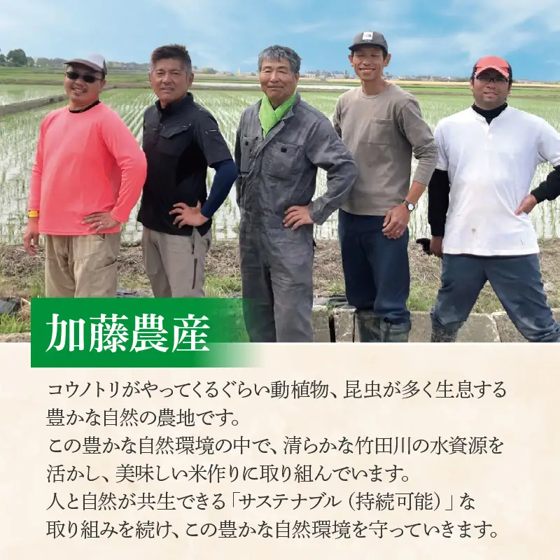 【先行予約】【令和8年産 新米】コシヒカリ 精米 10kg（5kg×2袋）JGAP認証米 / 米 10キロ 福井県産 ブランド米 一等米 ご飯 白米 お米 コメ 新鮮 小分け ※2026年10月上旬より順次発送 [aw094-b003]
