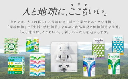 【定期便】2回発送 選べる発送間隔 ネピアティシュ フィルムレス 120組 5箱×18パック | 日用品 消耗品 必需品 ティッシュ ボックスティッシュ 箱ティッシュ ストック 花粉症 花粉 防災 備蓄 エコ まとめ買い 全国 発送 一人暮らし nepia ネピア