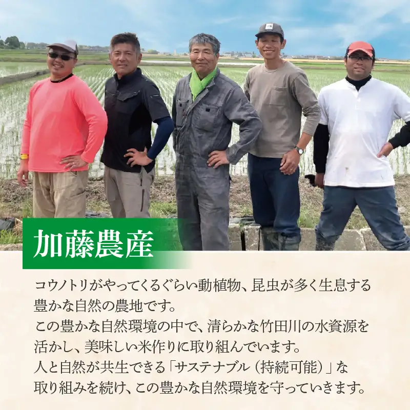 【先行予約】【令和8年産 新米】《定期便6回》ミルキークイーン 精米 10kg（5kg×2袋) JGAP認証米 / 米 10キロ 福井県産 ブランド米 一等米 ご飯 白米 お米 コメ 新鮮 小分け ※2026年10月上旬より順次発送 [aw094-k003]