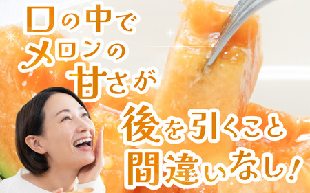 【先行予約】農家直送 砂丘地栽培 赤肉メロン 福井県産 マルセイユメロン 3Lサイズ 1玉【2027年6月上旬以降順次発送予定】 [A-21803]