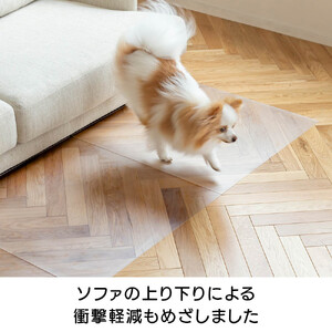 クラレ透明マット６０ｃｍ２枚_1330803078_00