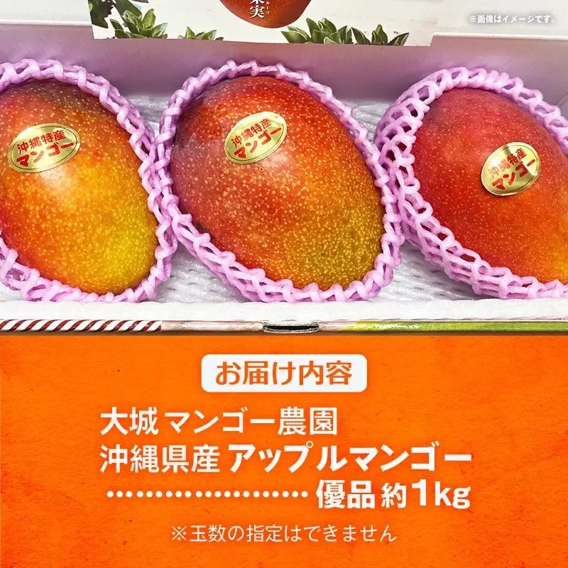 【先行受付】【2027年発送】大城マンゴー農園 マンゴー 優品 約1kg - 先行予約 アップルマンゴー 沖縄 産地直送 南国フルーツ 旬の味覚 贈り物 ギフト オススメ 沖縄県 八重瀬町
