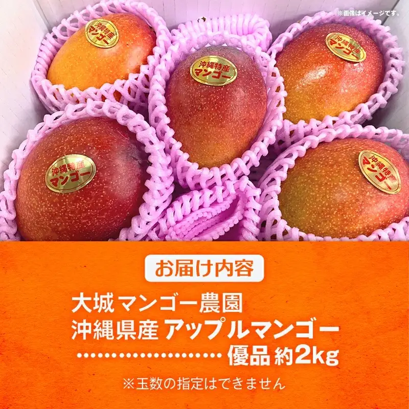 【先行受付】【2027年発送】大城マンゴー農園 マンゴー 優品 約2kg - 先行予約 アップルマンゴー 沖縄 産地直送 南国フルーツ 旬の味覚 贈り物 ギフト オススメ 沖縄県 八重瀬町