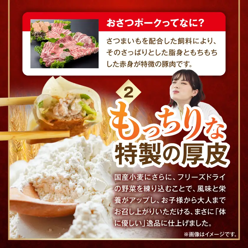 「おさつポーク」使用!肉汁あふれる肉餃子40個〔LF-14-001-40〕_(都城市) 都城産 ブランドポーク使用 冷凍