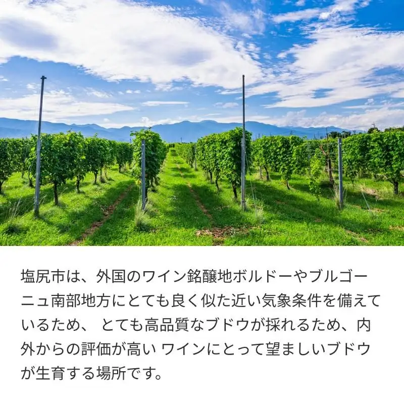 五一わいん エステート ゴイチピノノワール（樽熟） & ケルナー 2本セット