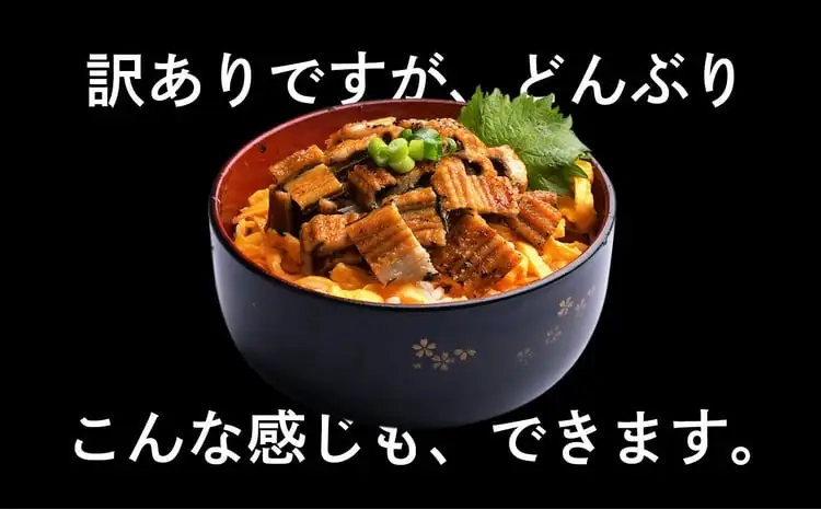 【復活!】 訳あり 蒲焼き 穴子 尾部 切り落とし 250g×2（500g) 冷凍