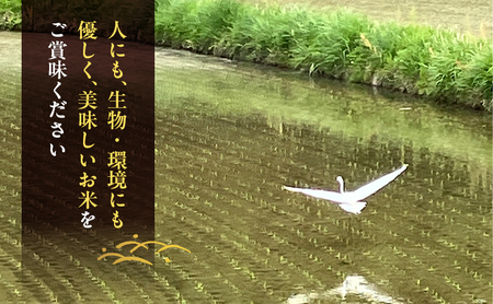 棚田米 品種 お任せ 無洗米 岡山県産 棚田米 【 精米 10kg(2kg×5袋)】【令和7年産】