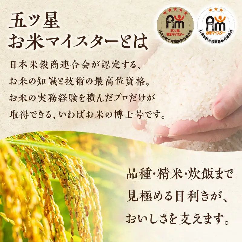 【最短3日配送】新潟県産 コシヒカリ  4kg 新潟県 新潟市産 令和7年産 お米 精米 米 ご飯 送料無料