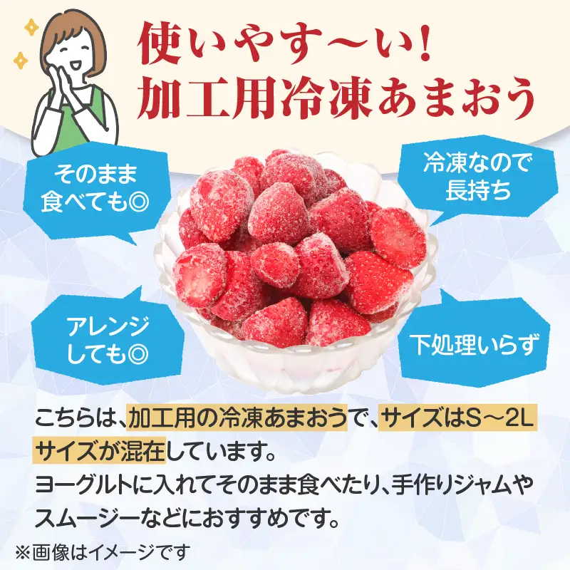 冷凍いちご「博多あまおう」1kg あまおう いちご 苺 イチゴ 冷凍 加工用 ヨーグルト ジャム スムージー 加工 福岡県 八女市 198-030