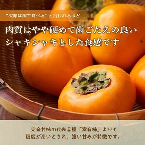 【令和8年産柿/先行予約】優しい農園の特選次郎柿 5kg 次郎柿 