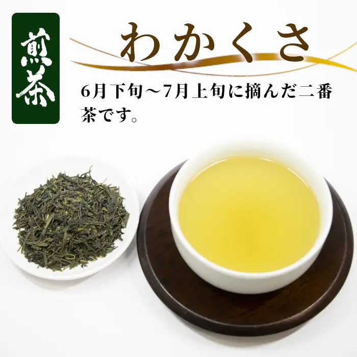 農薬不使用！煎茶 わかくさ 200g 常磐園 日本茶 白川茶 美濃白川茶 緑茶 煎茶 茶葉 お茶 二番茶 春摘み お試し 岐阜県 東白川村 家庭用 事務所用