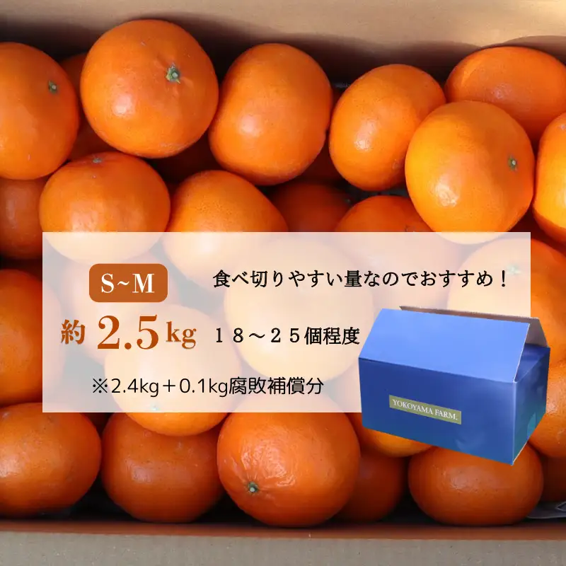 『予約受付』【令和9年1月下旬より順次発送】農家直送！施設育ちの希少柑橘 麗紅(箱込み2.5kg)