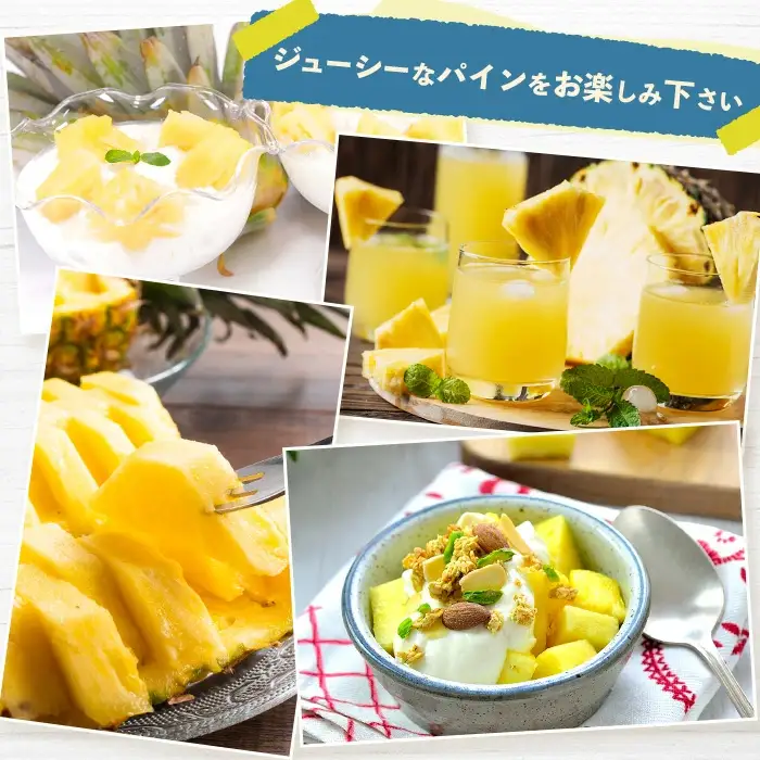 《2027年6月以降順次発送》お試し用 蜜香の極 ジュワリーパイン 2玉 約1.6kg