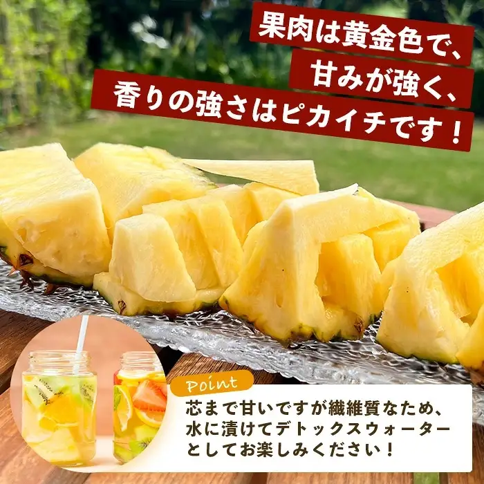 お試し用 完熟黄金 てとの黄金パイン 1玉 約1.4kg