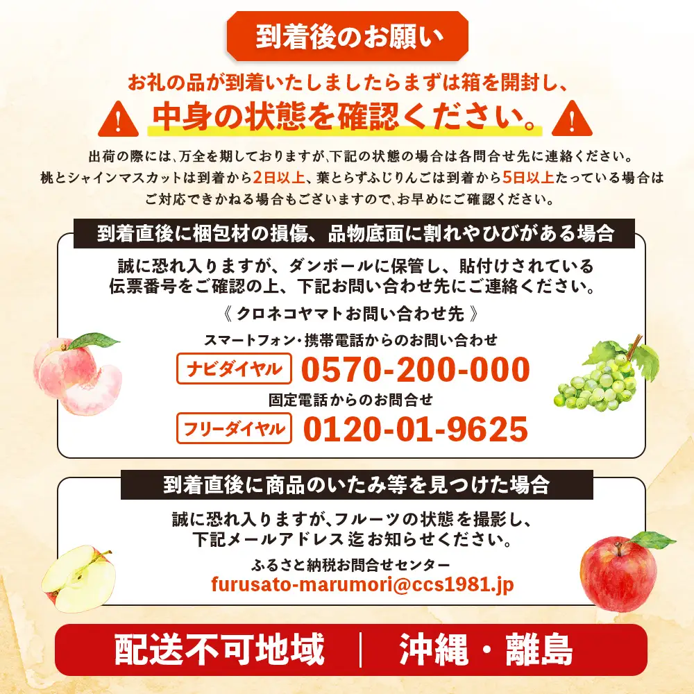 【先行予約】《採れたてを農家直送》 宮城県丸森町産 フルーツ定期便 コース2 （桃・シャインマスカット・りんご）【48008】