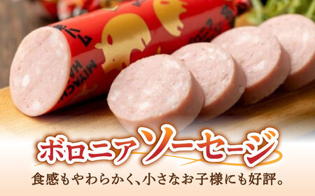 ソーセージお試しセット（3種 計6本） /宮地ハム[UBM041]