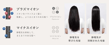 Angelique(アンジェリーク) プラズマイオンヘアドライヤー MXDR-700A ベージュ_OS027-0069-01
