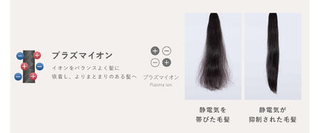 Angelique(アンジェリーク) プラズマイオンヘアドライヤー (ベージュ/グレー) MXDR-500A_OS027-0070-01