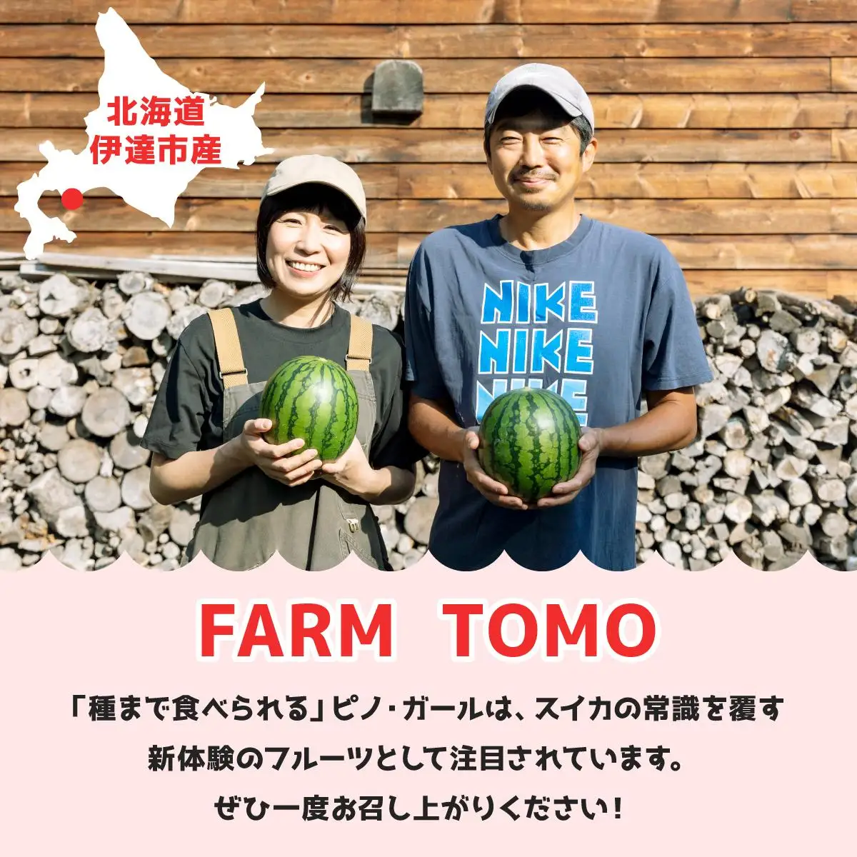 ＜先行予約＞北海道伊達産 小玉スイカ "ピノ・ガール" 【tom-001】