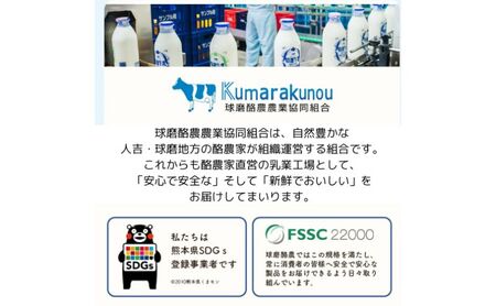 球磨の恵み のむヨーグルト ( 砂糖不使用 ) 10本 セット 【配送不可：沖縄県、離島】