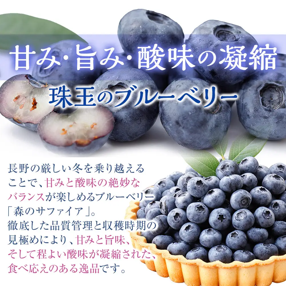 【2027年7月上旬～順次発送 先行予約】【Lサイズ】生ブルーベリー「森のサファイア」500g | ブルーベリー  フルーツ 冷蔵  人気 おすすめ ギフト 送料無料 長野県 長野市 信州 信濃 ふるさと納税