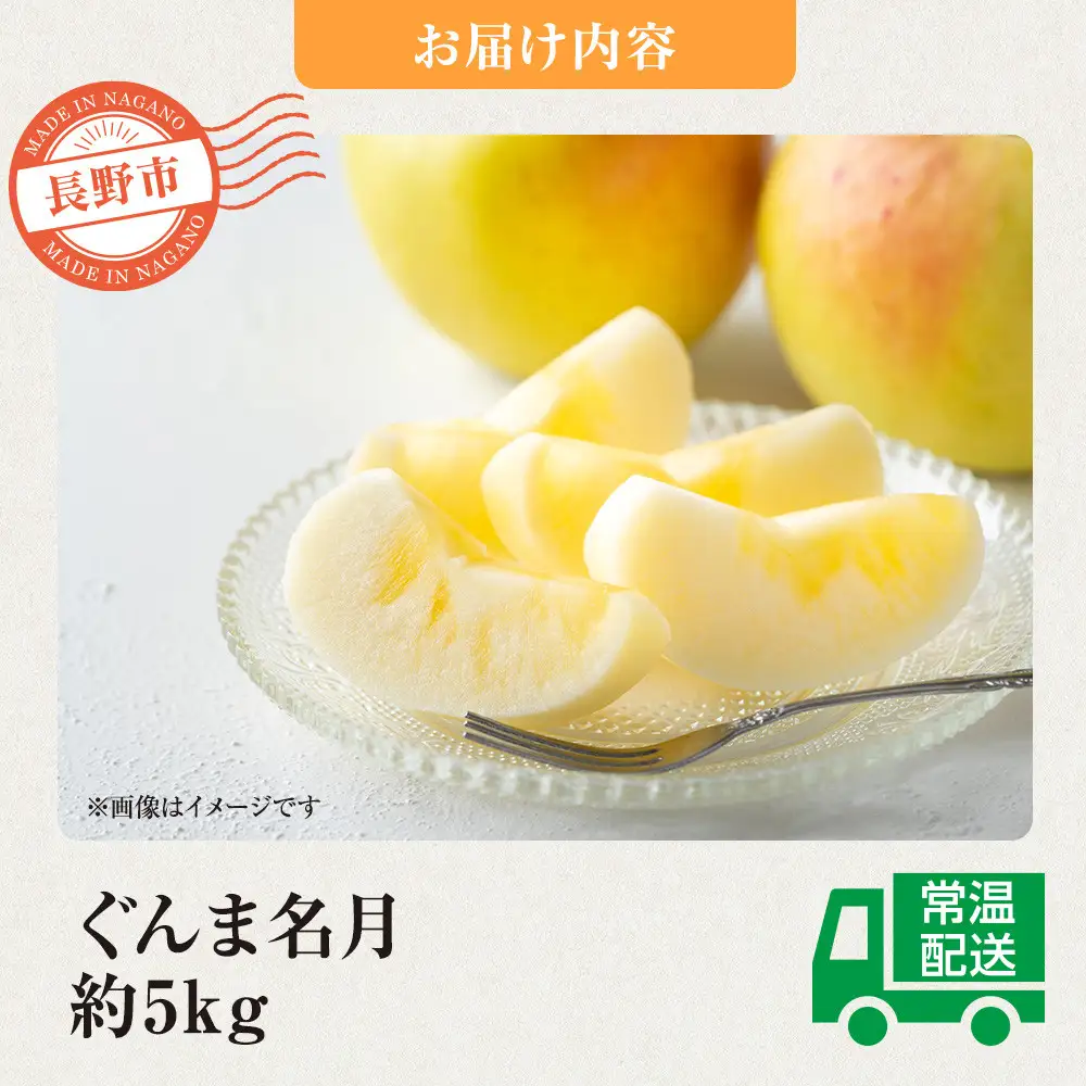 前島農家 ぐんま名月約5kg（12個～18個） | りんご フルーツ 旬 りんご