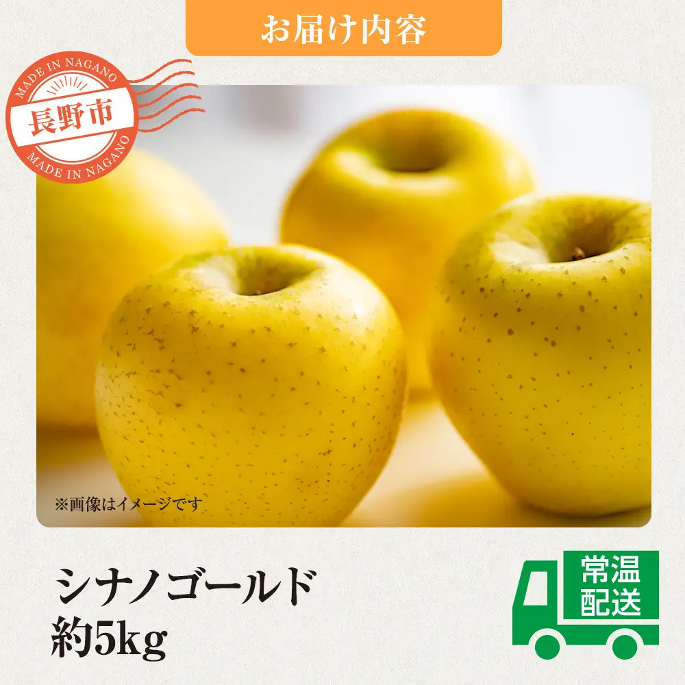 前島農家 シナノゴールド約5kg（12個～18個）| りんご フルーツ 旬 りんご