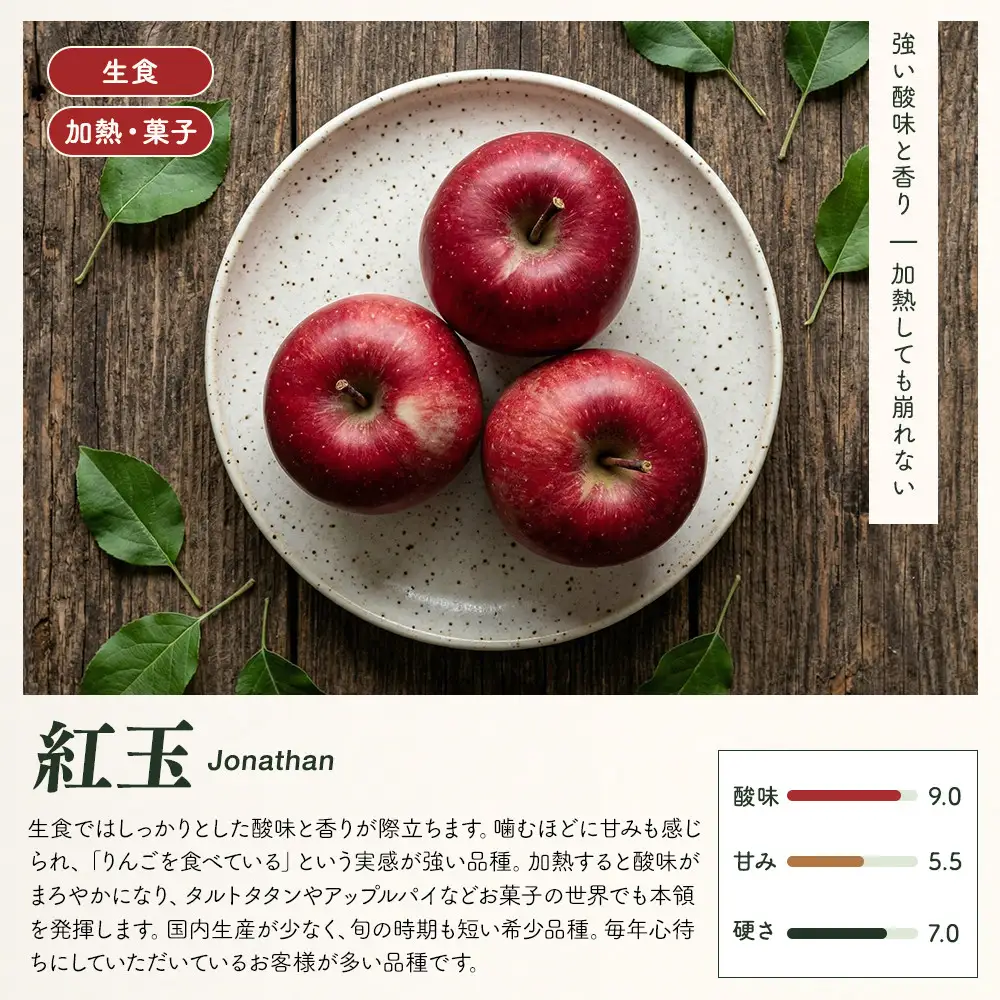 紅玉屋　紅玉訳アリ12kg りんご 長野市産 フルーツ【2026年9月下旬以降の出荷】 | りんご 林檎