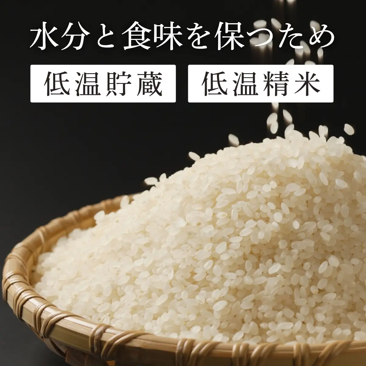 特別栽培米コシヒカリ【新米】特A丹波篠山産  2kg×3 コシヒカリ