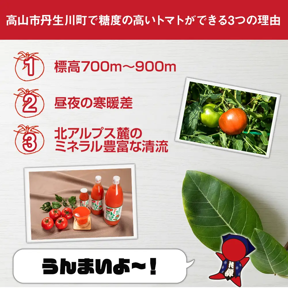 トマトジュース 500ml×20本入 食塩無添加 |  トマトジュース LS007VC13