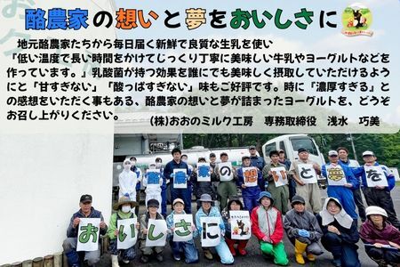 おおのミルク村 ゆめヨーグルト（加糖）1㎏×4袋 