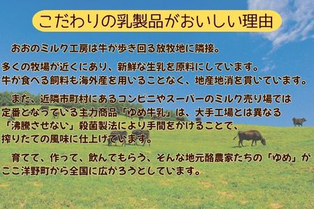 【3ヵ月定期便】おおのミルク村 ゆめヨーグルト（プレーン）1㎏×1袋・（加糖）1㎏×3袋